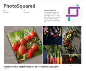 Pinterest Board: Garden & Floral Photography
